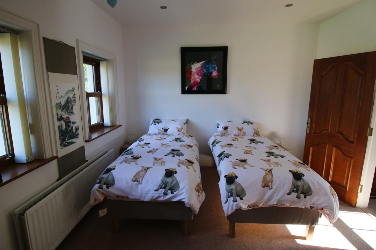Bed and Breakfast Feetnpaws à Portaferry Extérieur photo